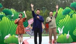 襄阳新闻大爆料视频最新,最新视频揭秘惊人内幕！